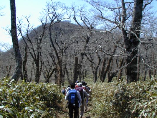 �~�Y�i���̗�