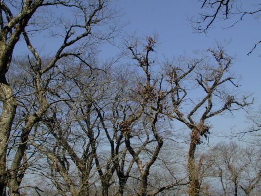 ���܂���