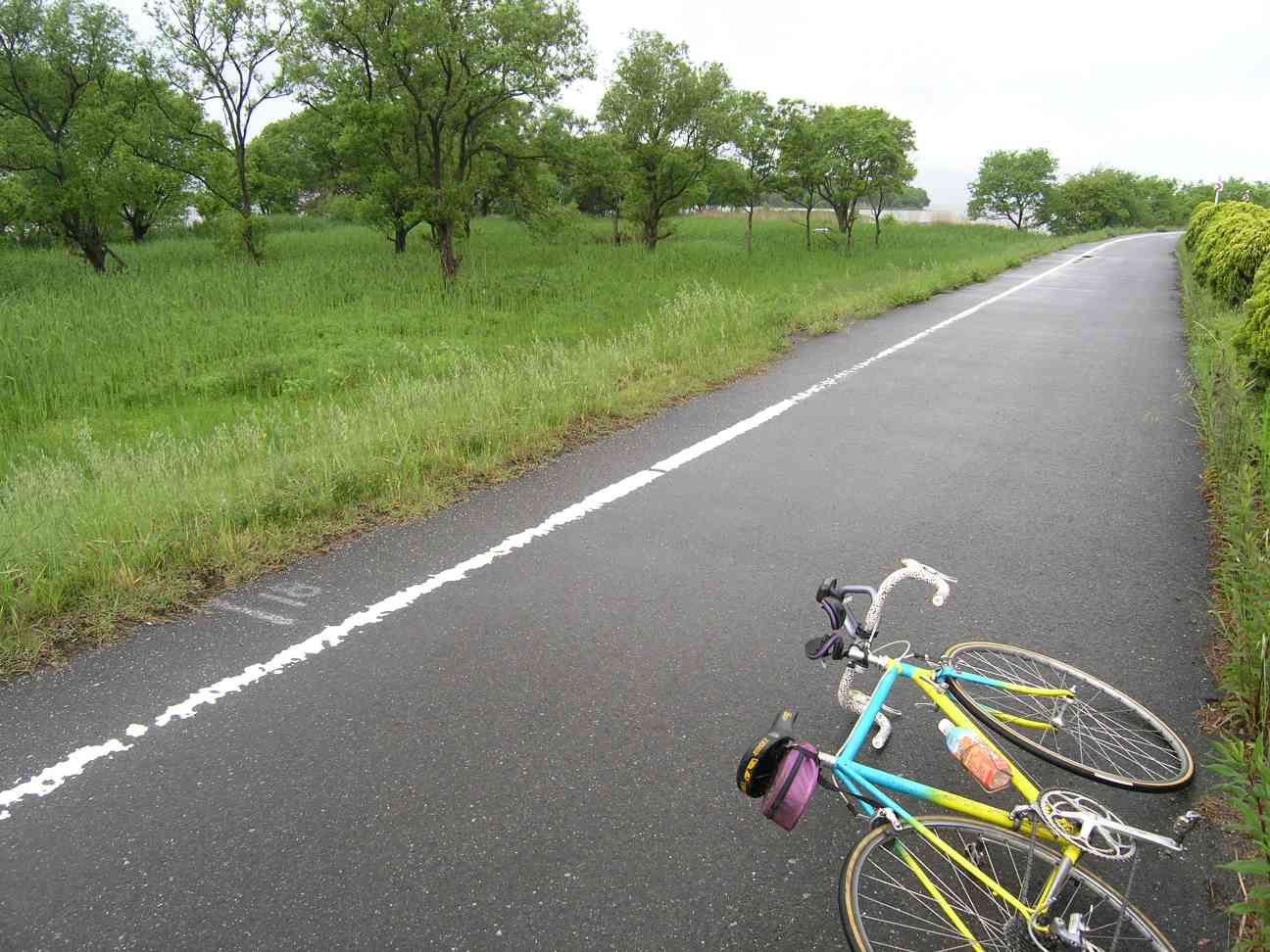 ���i�΂̓����̃T�C�N�����O���[�h