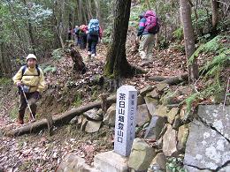 �r���̕���_