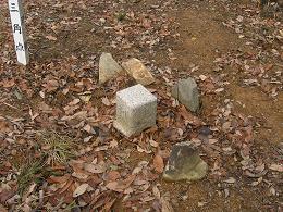 �O���O�p�_