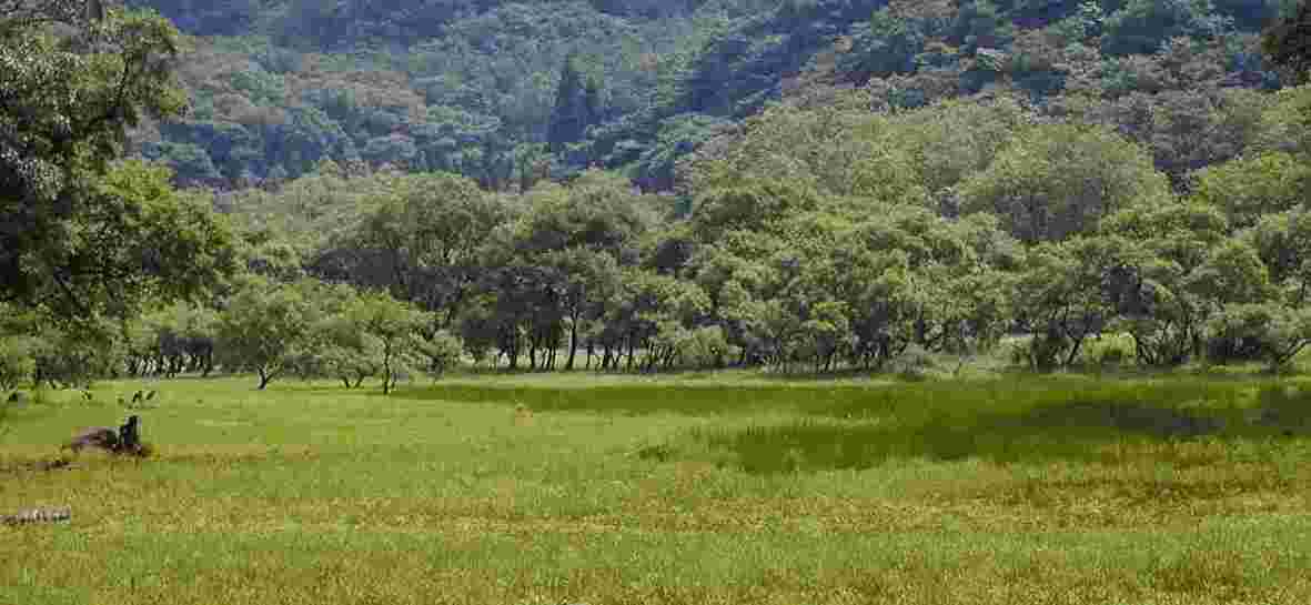 ��q���̎ʐ^