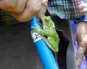 �����A�I�K�G��