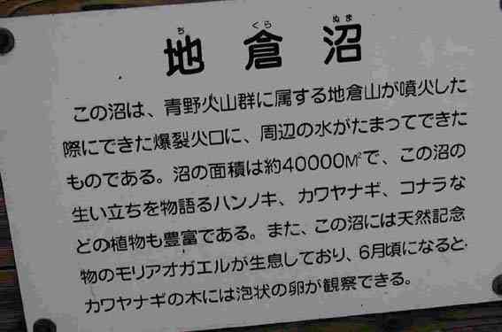 �����Ŕ�