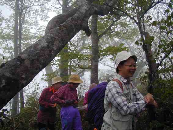 �u�i�т�������