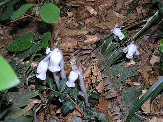 �M�������E�\�E