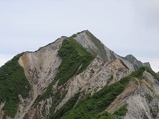 �O�p�_��茕��������