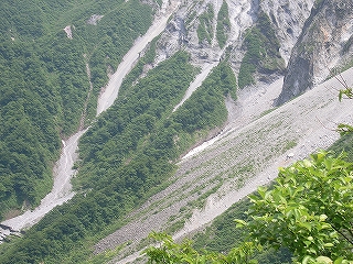 �Z���ڂ�茳�J