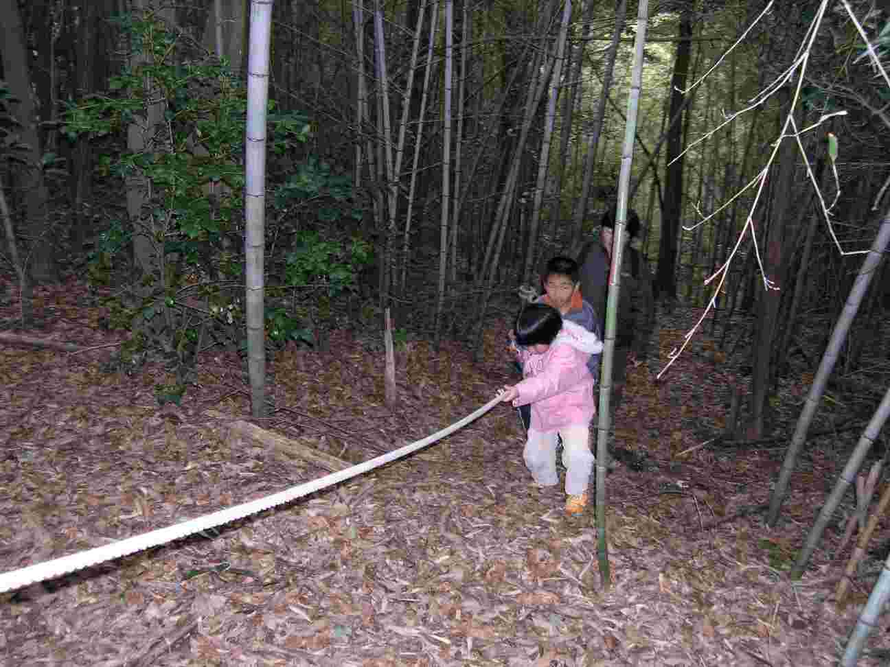 �|�т̒���o��