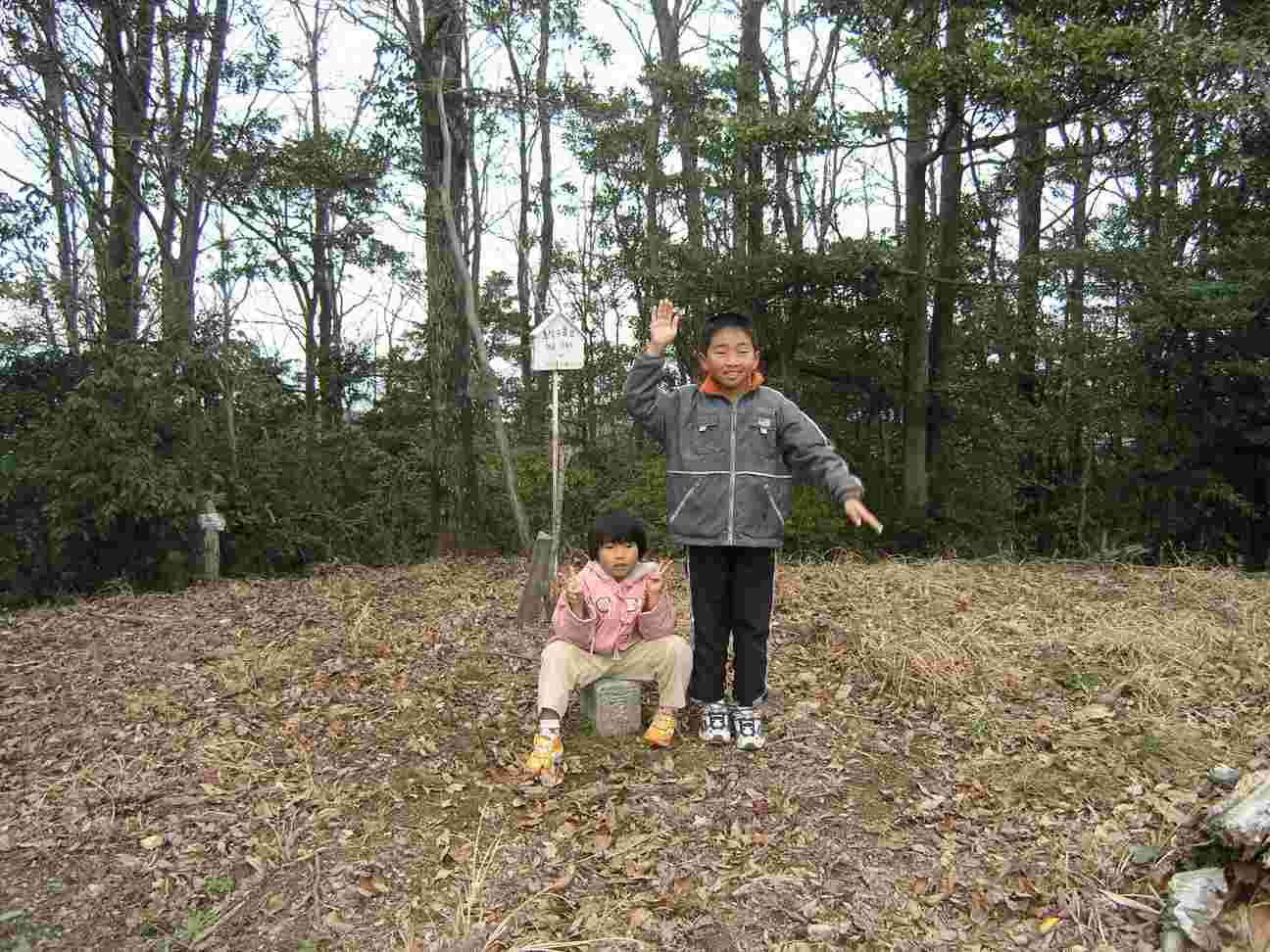 �񓙎O�p�_�A�G�X�q�R