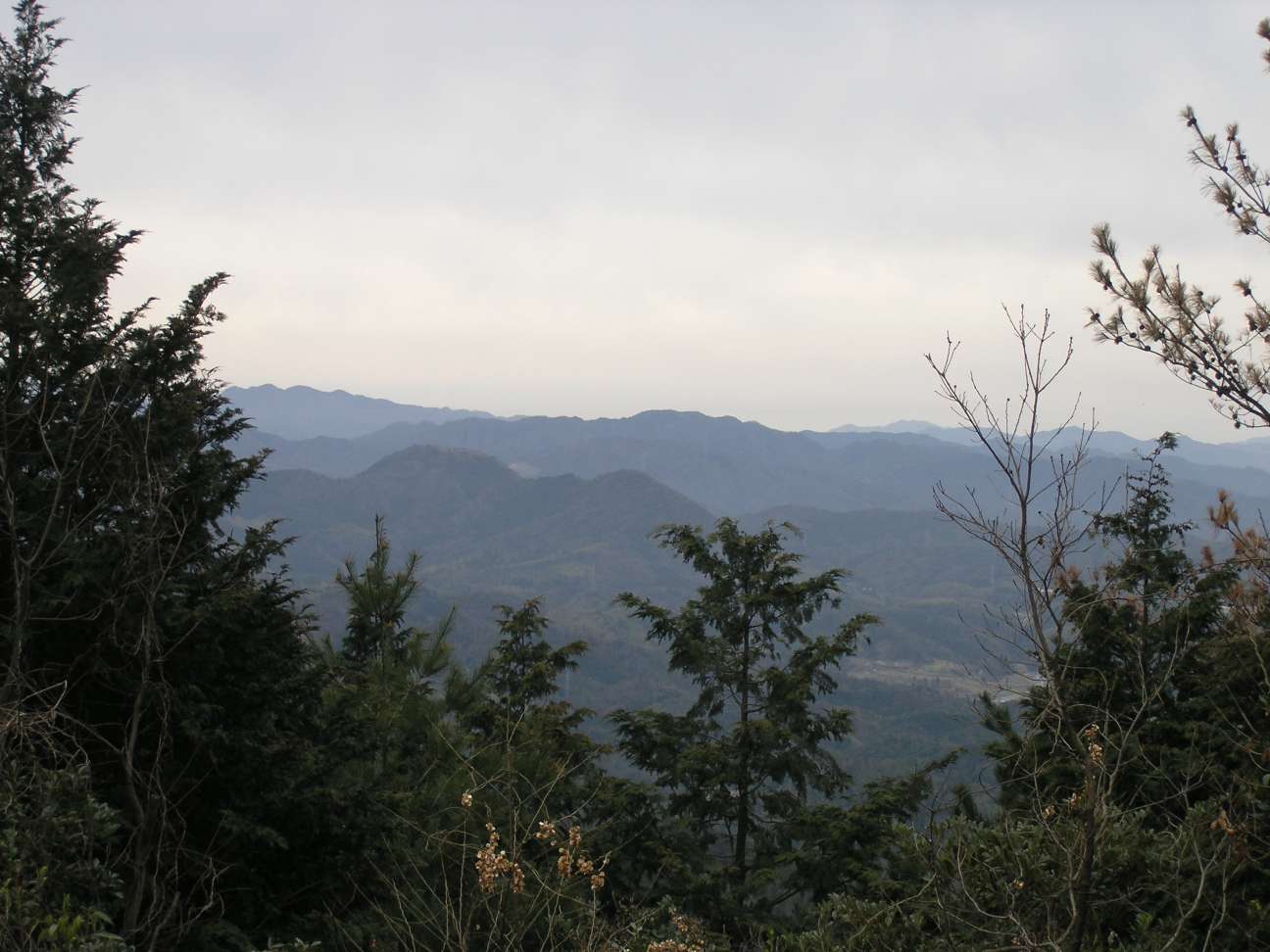 ���풬�̓o�R�������