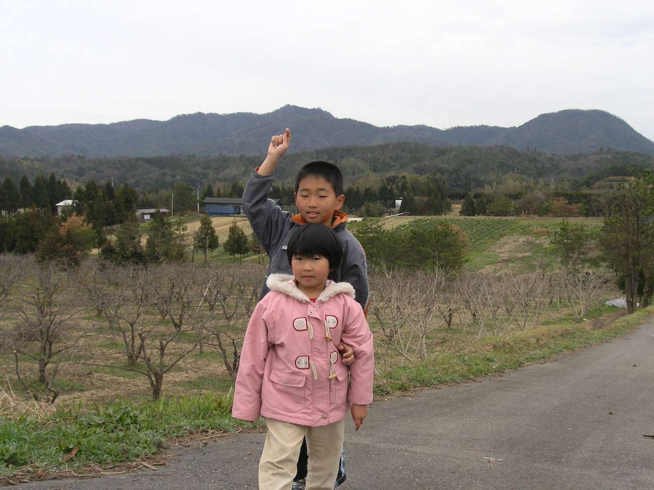 ���c�̊J�p�C���]�މG�X�q�R