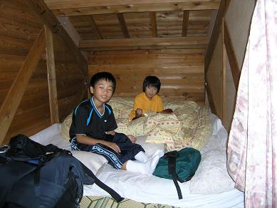 �_�C���̌�