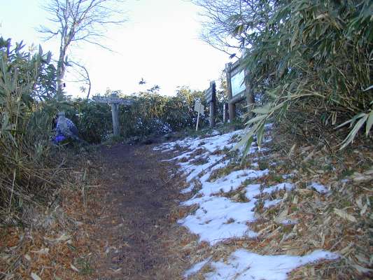 ��J���򓞒�