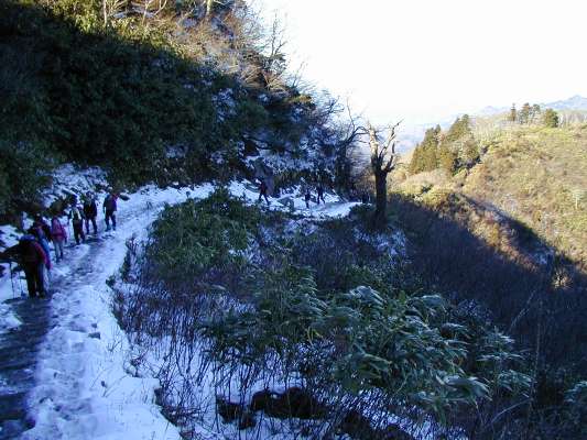 �k�Ζʓ���