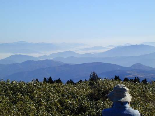 �����ɔ��R�A�M