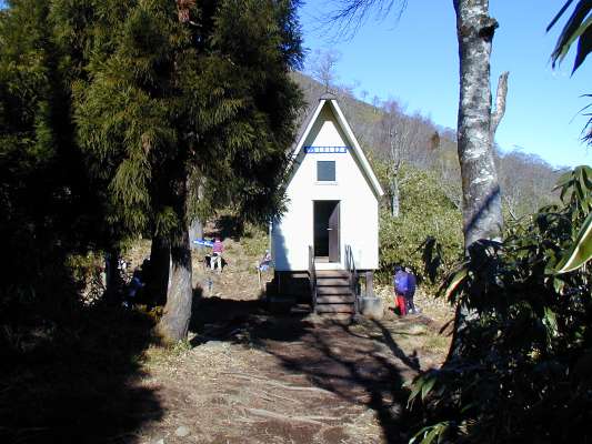 �X�m�R�z���̔���