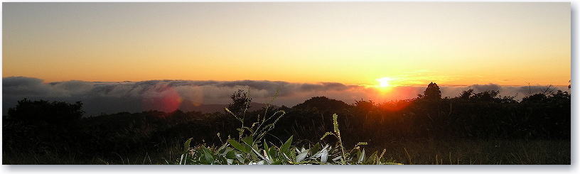 ���̓���A�P�W�F�Q�U