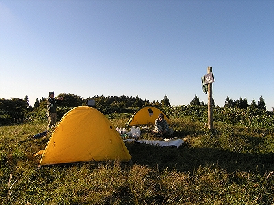 �e���g�݉c����