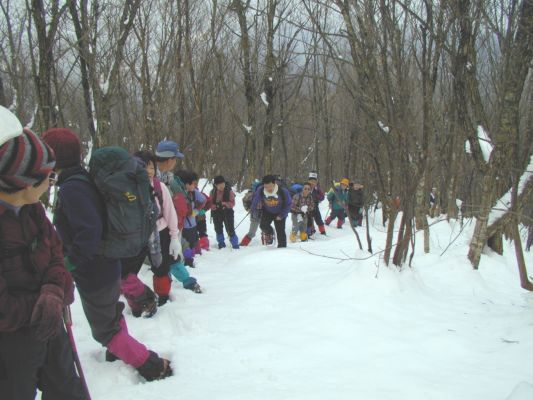 �����N��ǂ��z��