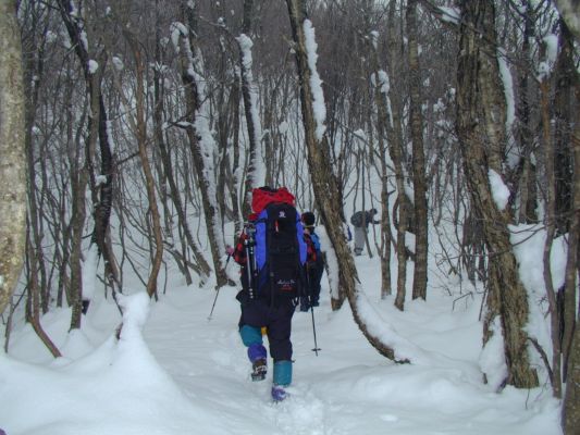 ��������Ƃ킸��