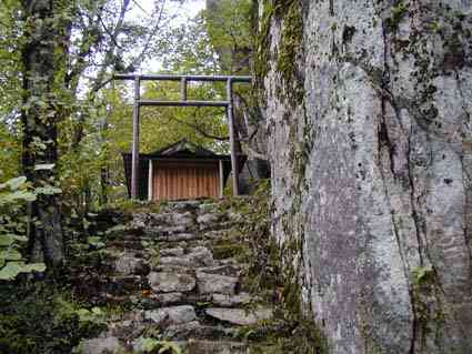 �Ո��R�_��