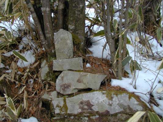 �o�R���̒n���l