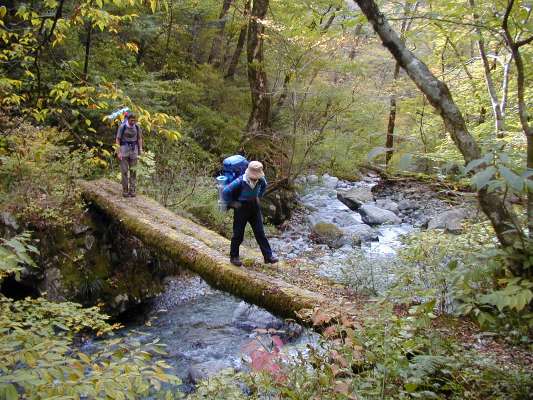 �ۖ؋���n��