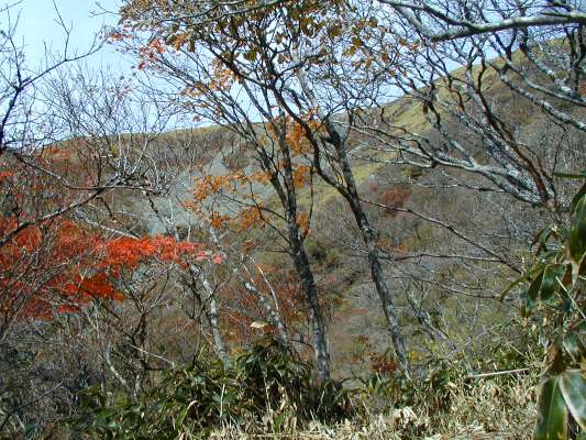 ������]��