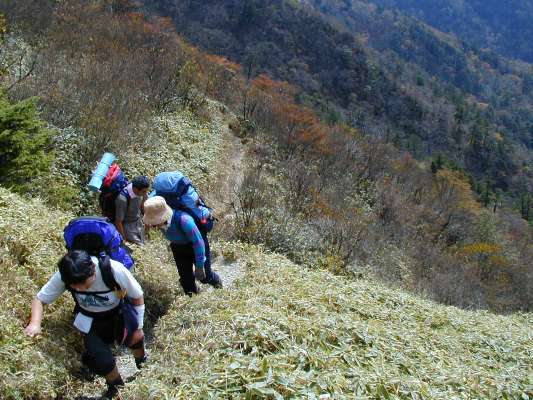 �F���̂Ȃ��ɏo��