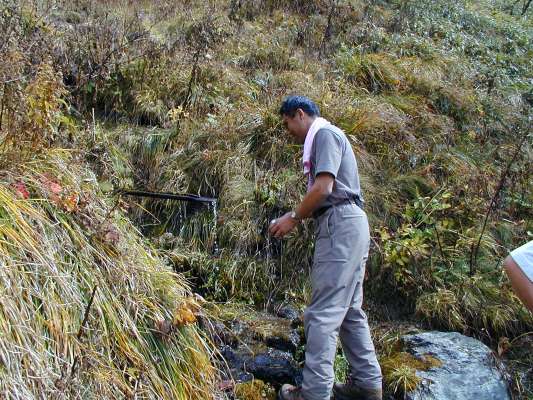 ����Ő���⋋