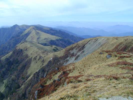 �O���萼�ɐ��F�R�A�V��˂�]��