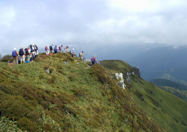 �L���̓o�R��