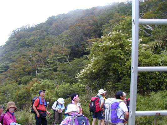 �㍇�ڏ�������