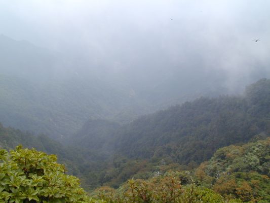 �R������������