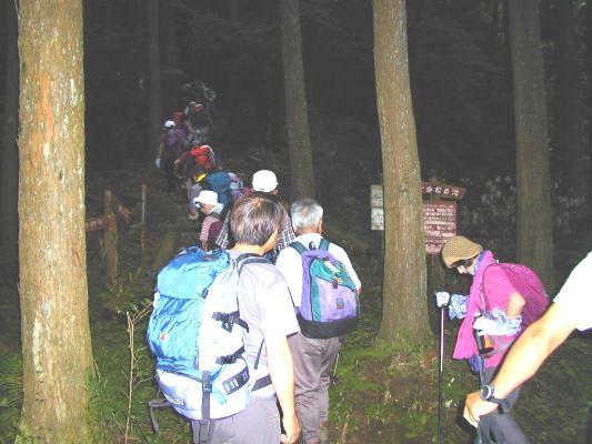 ���т̂Ȃ���������肷����