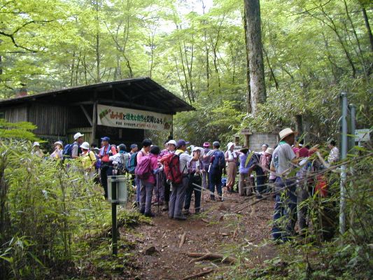 �܍��ڏ���