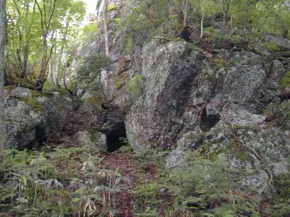 �R�E������