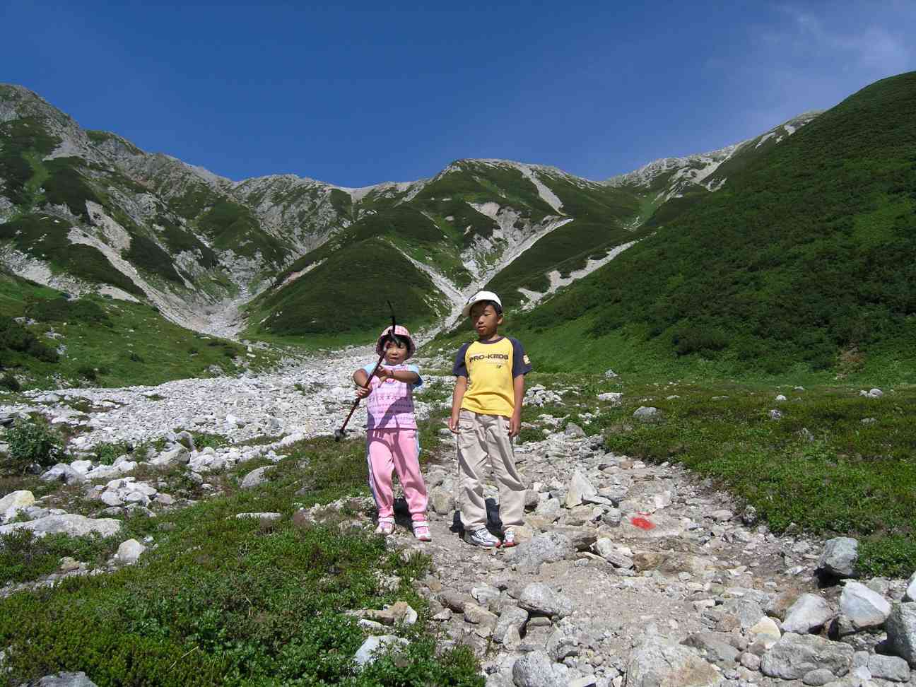 ��������𖳎��ɒ���������I����B